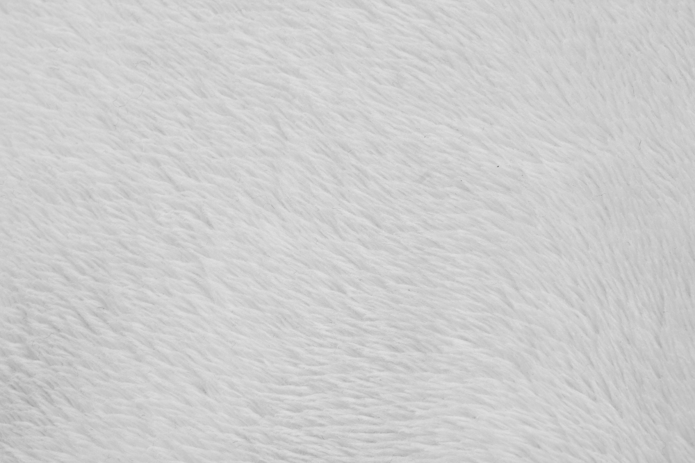 What to Consider Before Buying White Carpets or Rugs