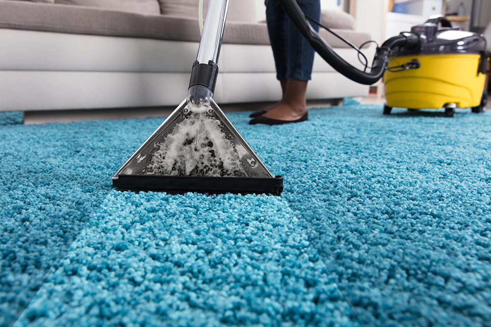Best Carpet and Rug Cleaner Solutions for Fresh Floors