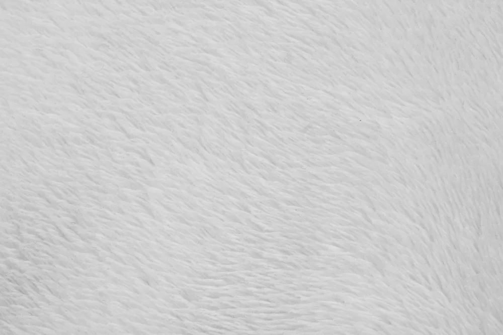 What to Consider Before Buying White Carpets or Rugs