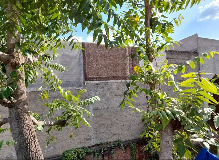 Rugs Drying on the Wall