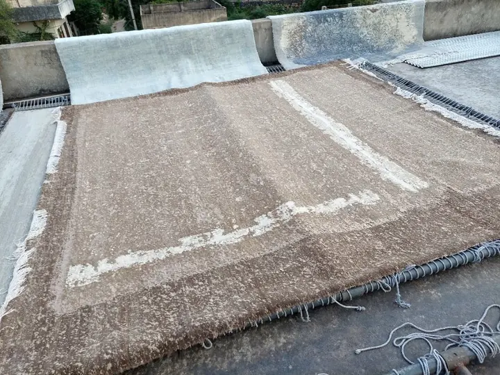 Washed hand-knotted rugs stretched out to dry in the sun